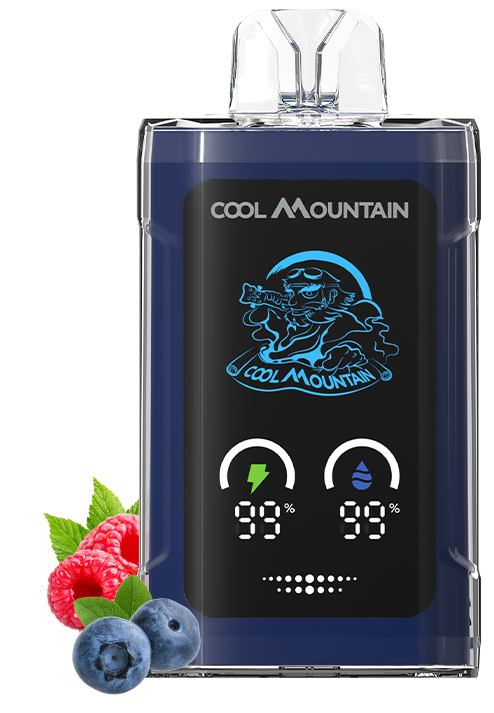 https://feemovape.com/wp-content/uploads/2025/03/蓝-2.webp